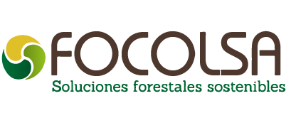 Focolsa