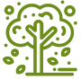 arbol